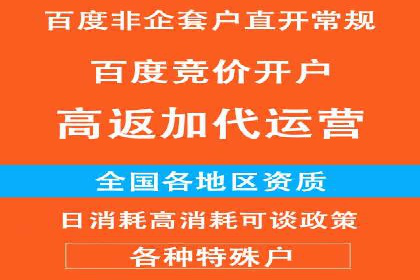 SEM广告投放中的数据监控与调整策略——以某品牌营销案例为例
